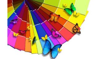 como apostar no bets vip net